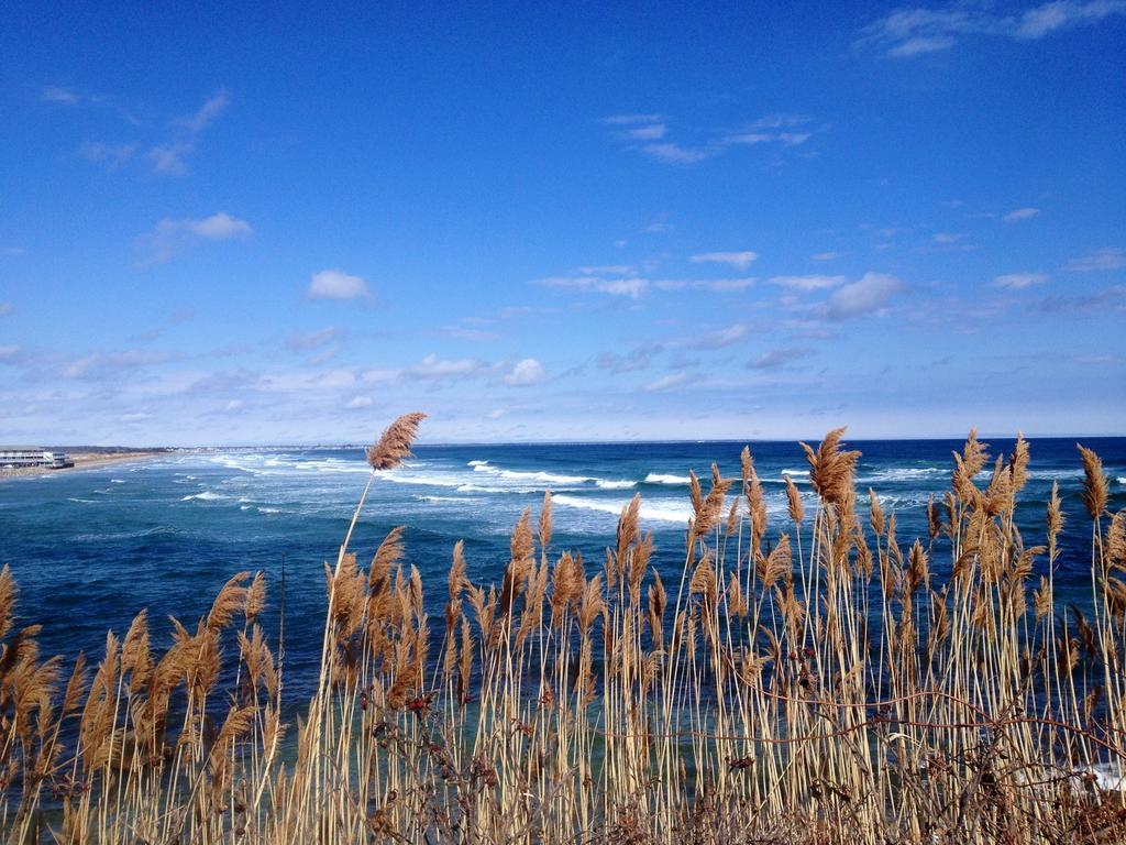 Black Boar Inn Ogunquit Dış mekan fotoğraf