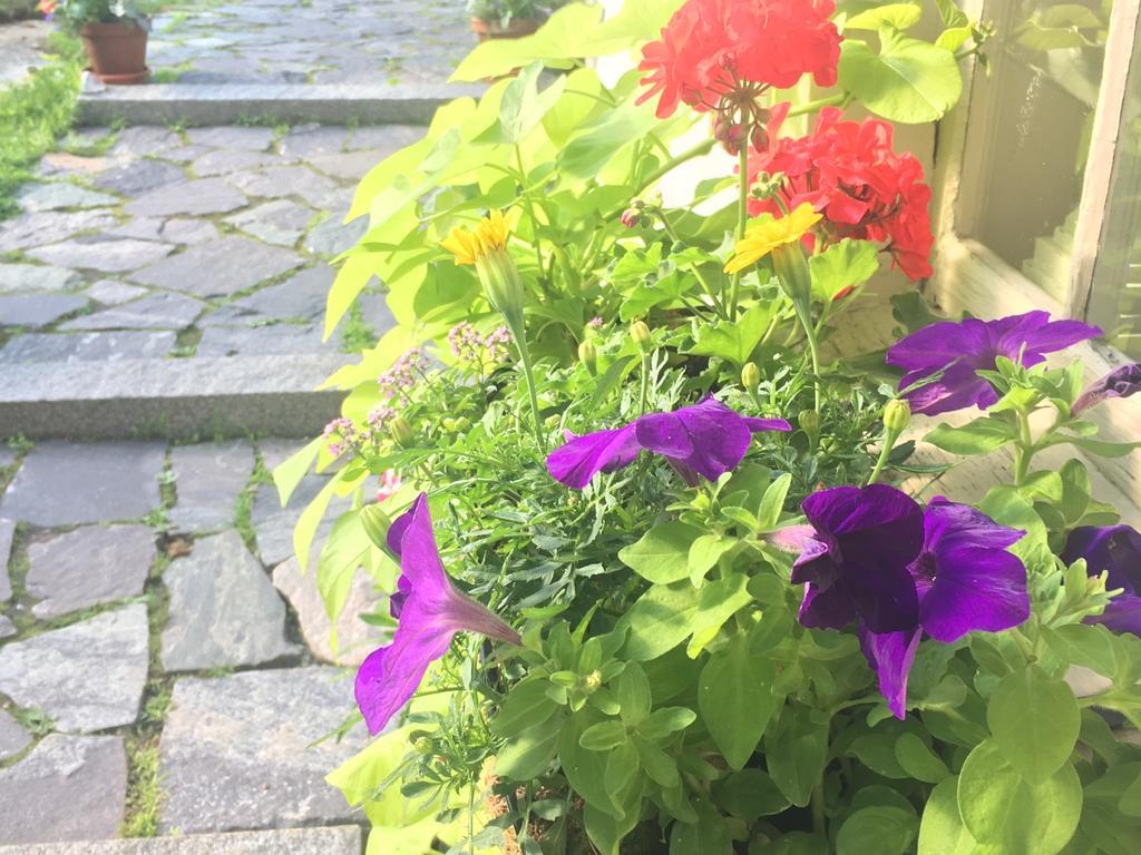 Black Boar Inn Ogunquit Dış mekan fotoğraf